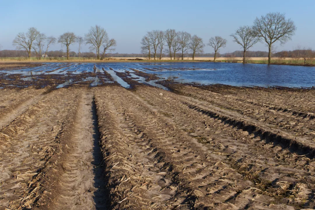 Watergevoelig openruimtegebied